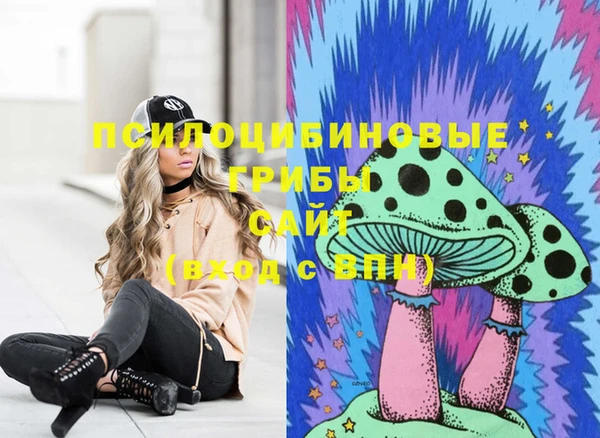 гашик Абинск