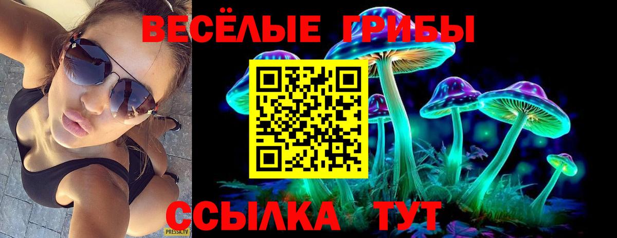 Псилоцибиновые грибы Magic Shrooms  Вход с VPN  Скопин 